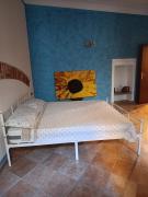 Top Vercelli