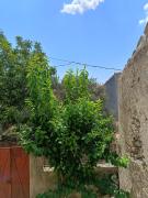 Top Gerace