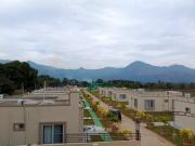 Top Araku