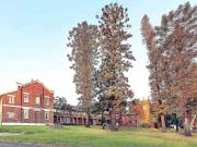 Top Maitland