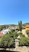 Top Afissos Top Afissos