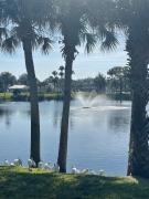 Top New Port Richey