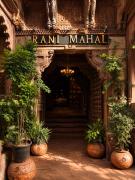 Top Jodhpur