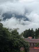 Top Darjeeling Top Darjeeling