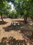 Nisarg Farms A Farm Stay in the City