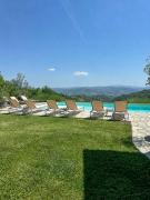 House with sweeping vineyard views in Piedmont