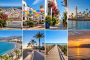Top Torrox