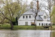 Top Odziena