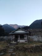 Top Jibhi