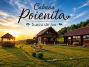 Cabana Poienita