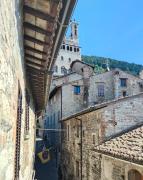 Top Gubbio