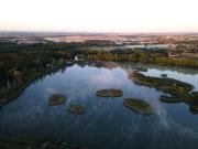 Top Legnica