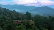 Top Vythiri