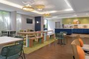 Top Fenton