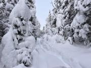 Top Saint-David-de-Falardeau