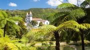 Top Ribeira Grande