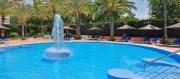 Top Benidorm