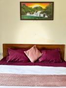 Top Alibaug