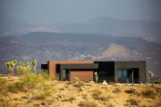 Top Joshua Tree