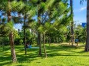Top Da Lat