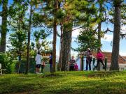 Top Da Lat