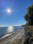 Top Ajax