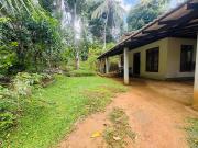 DUMI Homestay