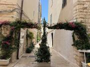 Top Trani