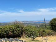 Top Porto Pollo