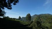 Top Kotagiri