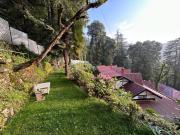 Top Shimla