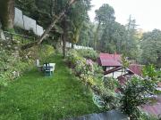 Top Shimla
