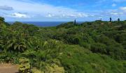 Top Port Shepstone