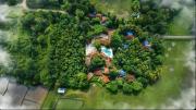 Top Wayanad