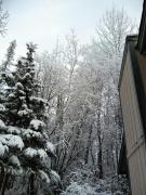 Top Wasilla