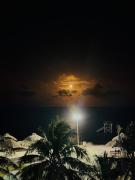 Top San Pedro