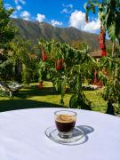Top Urubamba