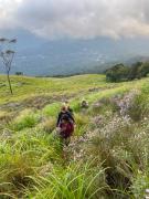 Top Munnar