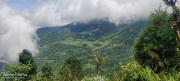 Top Darjeeling