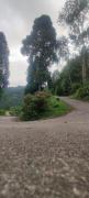 Top Darjeeling