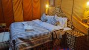 Camping in Desert