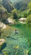Top Noto