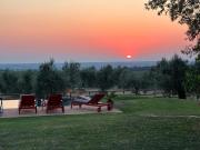 Top Livorno