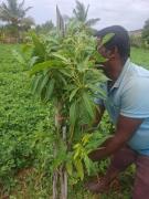 Top Puttaparthi