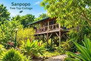 Top San Ignacio