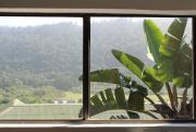 Top Plettenberg Bay