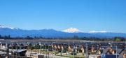 Top Linares