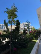 Top Sarandë