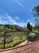 Top Guarne