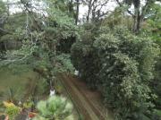 Top Coatepec